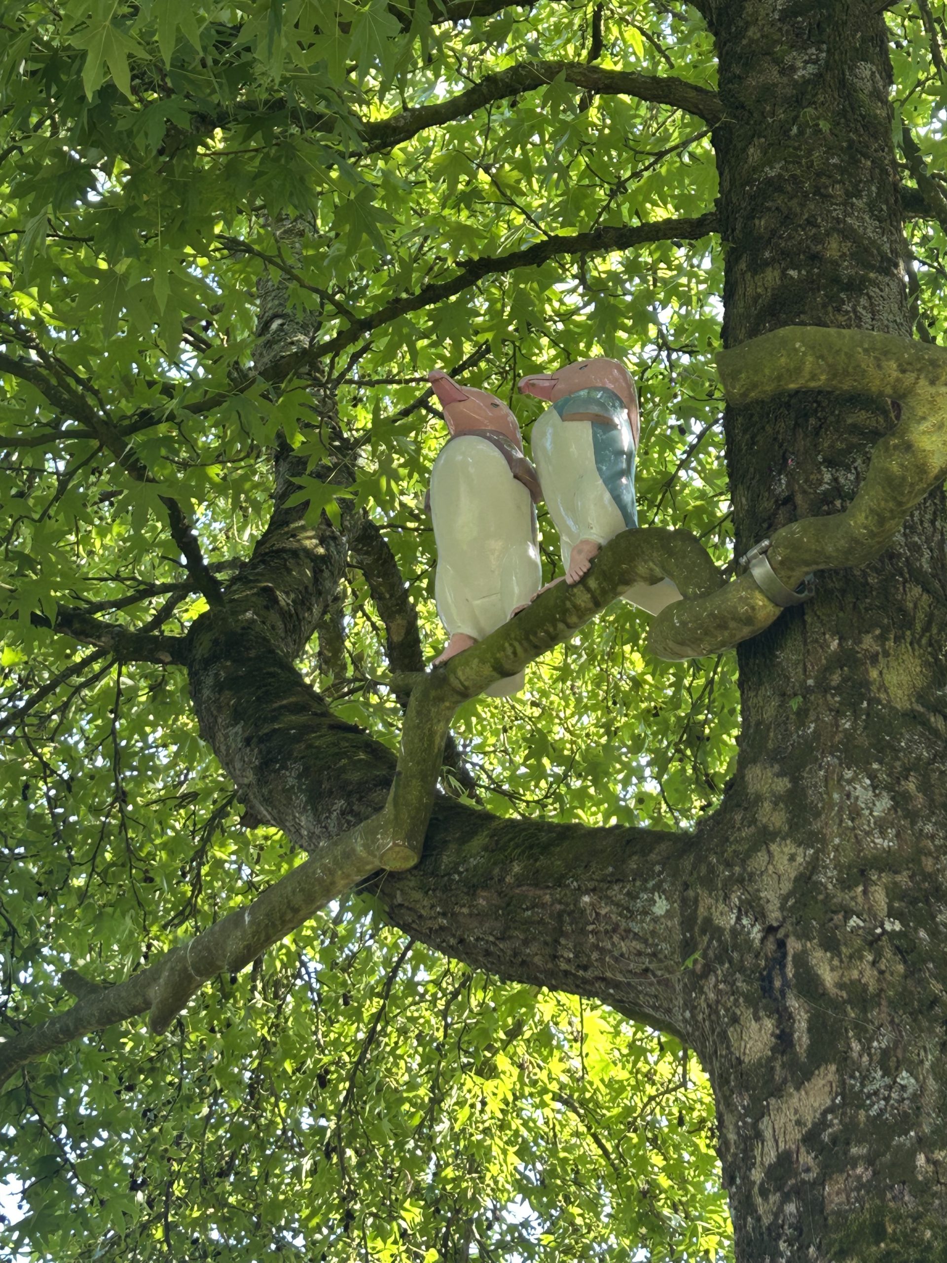 "Du bruit dans les branches" Jean-Yves Brélivet